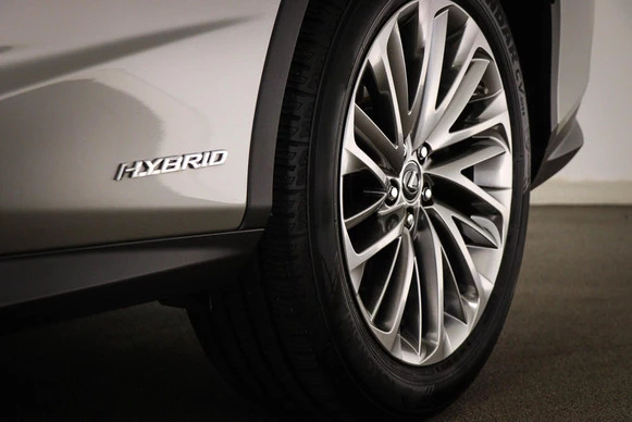 Lexus RX - Afbeelding 25 van 30