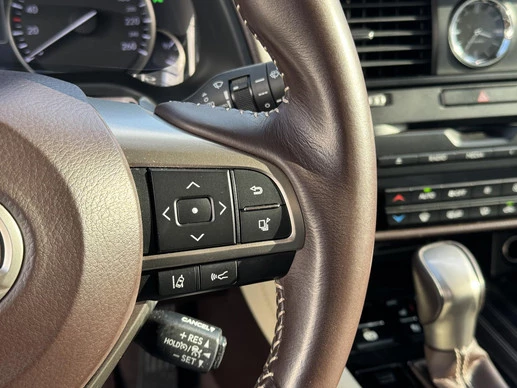 Lexus RX - Afbeelding 22 van 30