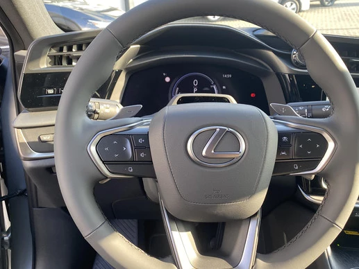 Lexus RZ - Afbeelding 28 van 30