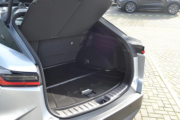 Lexus RZ - Afbeelding 30 van 30