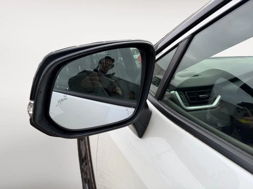 Toyota RAV4 - Afbeelding 30 van 30