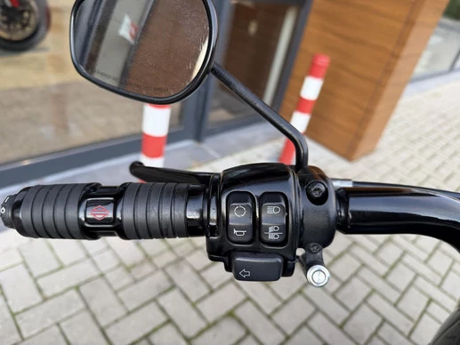 Harley-Davidson Fat Boy - Afbeelding 10 van 20