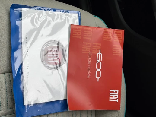 Fiat 600 - Afbeelding 17 van 19