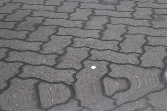 Jaguar XE - Afbeelding 13 van 30