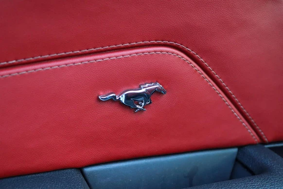 Ford Mustang - Afbeelding 14 van 23