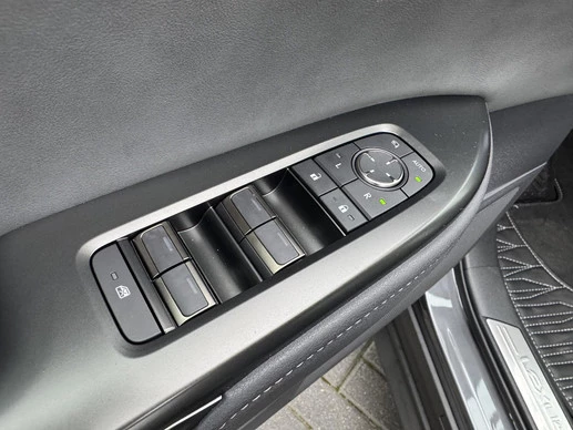 Lexus RZ - Afbeelding 12 van 30