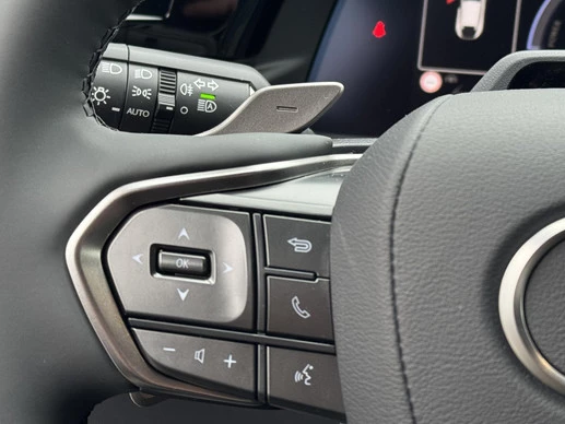 Lexus RZ - Afbeelding 18 van 30