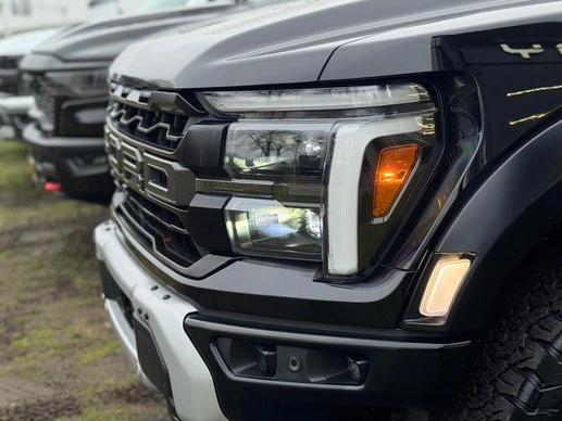 Ford F-150 - Afbeelding 2 van 21