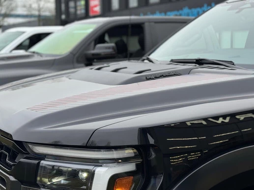 Ford F-150 - Afbeelding 13 van 21