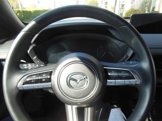 Mazda MX-30 - Afbeelding 16 van 21