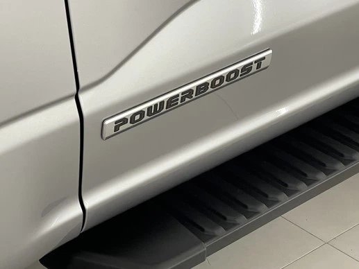 Ford F-150 - Afbeelding 10 van 30