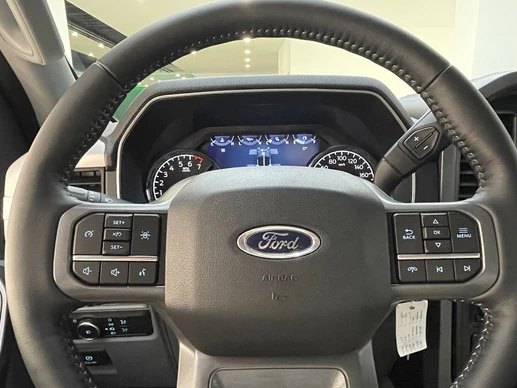 Ford F-150 - Afbeelding 20 van 30