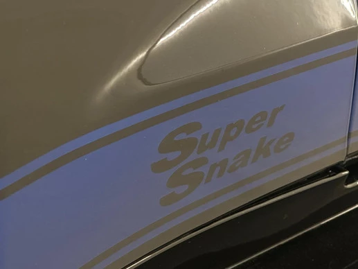 Ford Mustang - Afbeelding 24 van 26