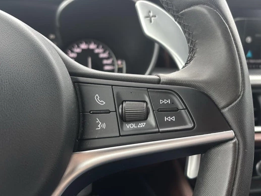 Alfa Romeo Stelvio - Afbeelding 17 van 30