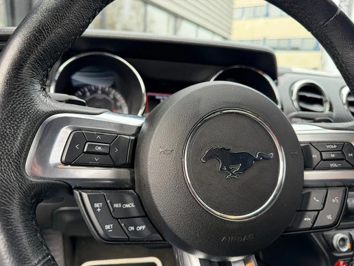 Ford Mustang - Afbeelding 11 van 30