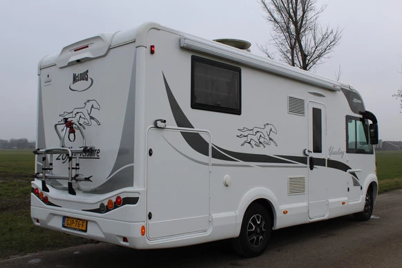 McLouis YEARLING - Afbeelding 2 van 30