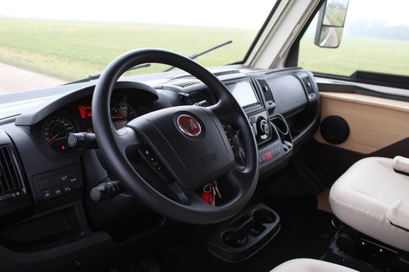 McLouis YEARLING - Afbeelding 3 van 30