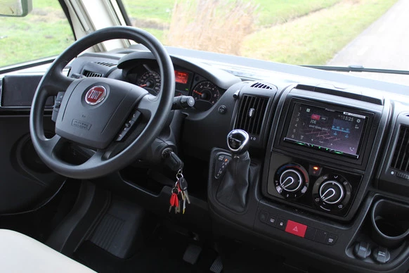 McLouis YEARLING - Afbeelding 4 van 30