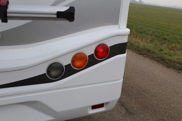 McLouis YEARLING - Afbeelding 14 van 30