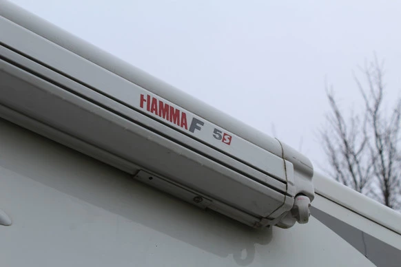 McLouis YEARLING - Afbeelding 15 van 30