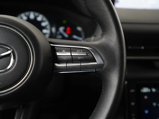 Mazda MX-30 - Afbeelding 10 van 30