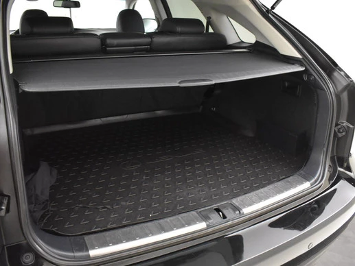 Lexus RX - Afbeelding 13 van 30