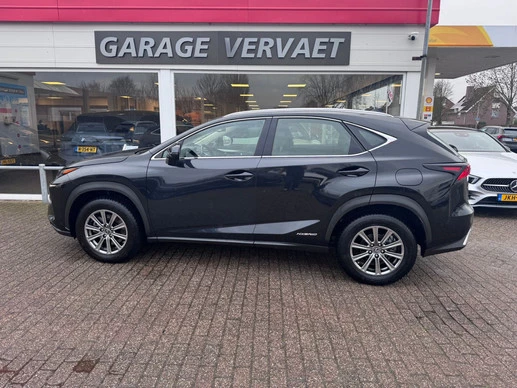 Lexus NX - Afbeelding 1 van 22