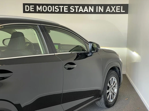 Lexus NX - Afbeelding 14 van 30