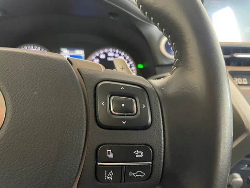 Lexus NX - Afbeelding 30 van 30