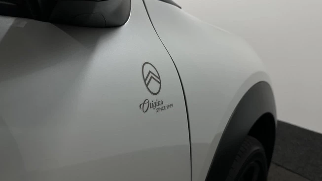 Citroën C4 Cactus - Afbeelding 18 van 30