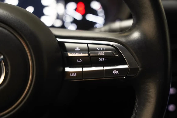 Mazda MX-30 - Afbeelding 20 van 30