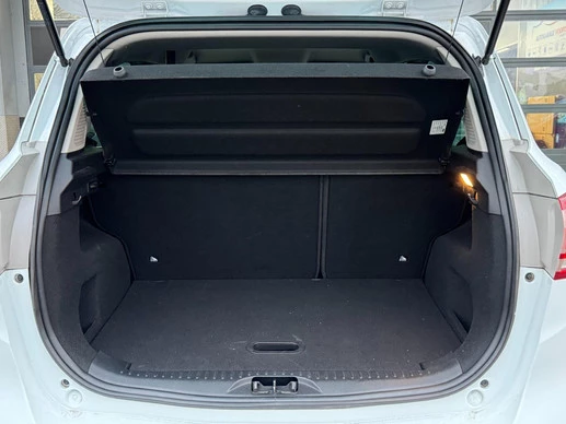 Ford B-MAX - Afbeelding 11 van 23