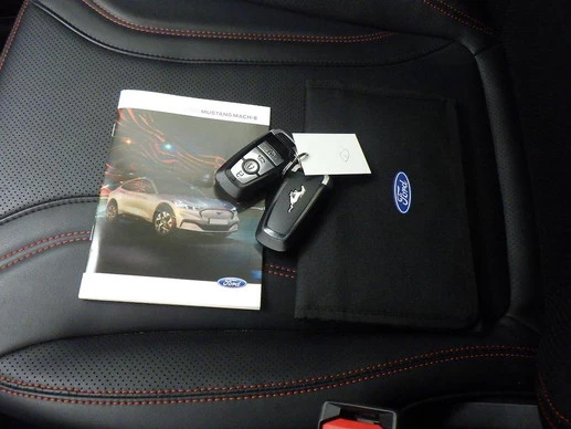 Ford Mustang Mach-E - Afbeelding 8 van 24