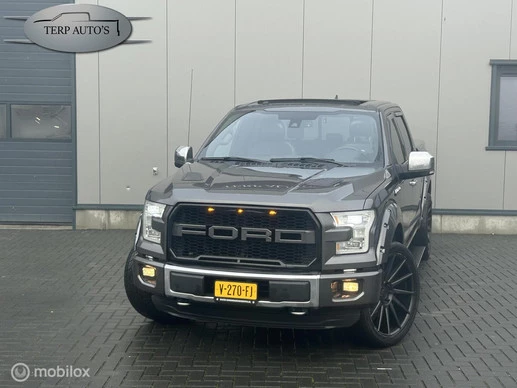 Ford F-150 - Afbeelding 1 van 30