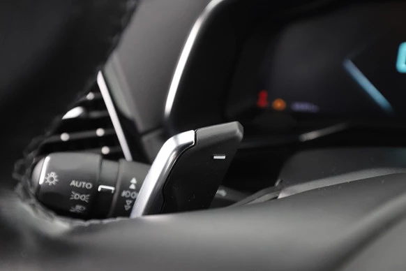 DS DS 7 - Afbeelding 24 van 30