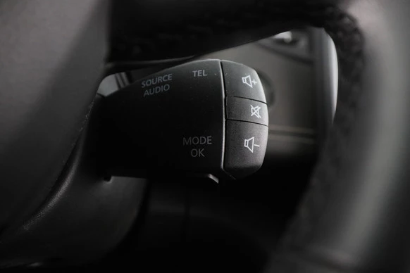 Renault Scénic - Afbeelding 13 van 30