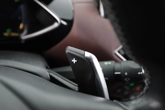 DS DS 3 - Afbeelding 21 van 30