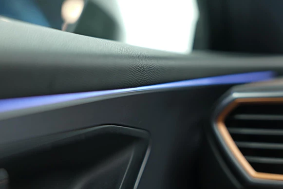 CUPRA Formentor - Afbeelding 28 van 30