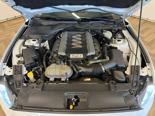 Ford Mustang - Afbeelding 11 van 30