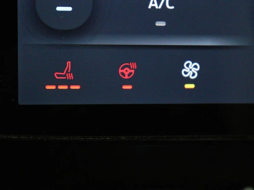 Ford Mustang Mach-E - Afbeelding 9 van 30