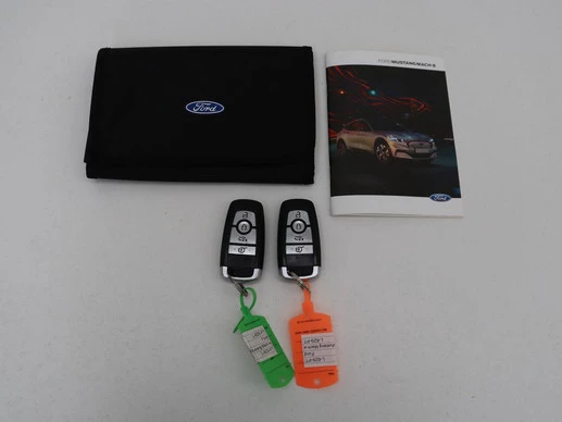 Ford Mustang Mach-E - Afbeelding 16 van 30