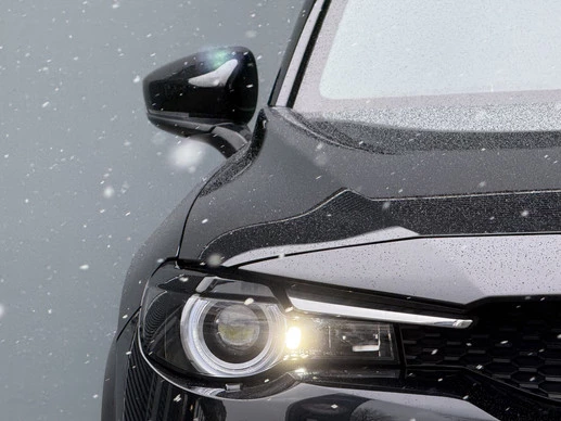 Mazda MX-30 - Afbeelding 24 van 30