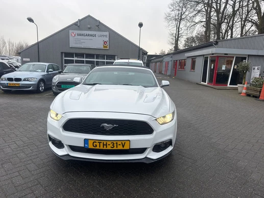Ford Mustang - Afbeelding 3 van 19