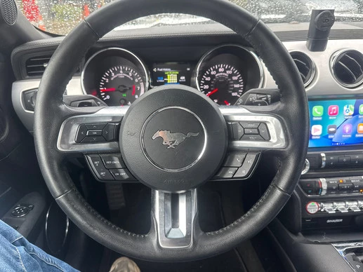 Ford Mustang - Afbeelding 13 van 19