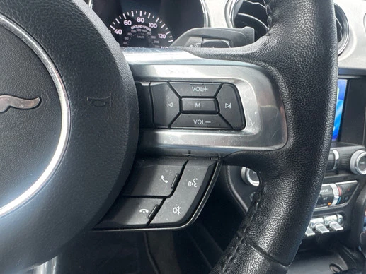 Ford Mustang - Afbeelding 14 van 19