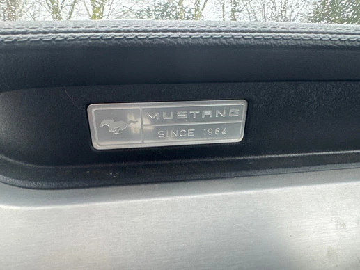 Ford Mustang - Afbeelding 17 van 19