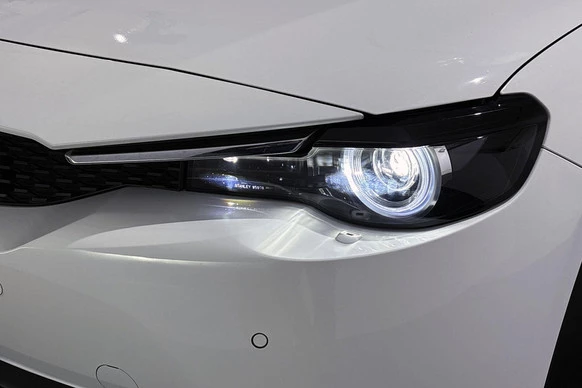 Mazda MX-30 - Afbeelding 21 van 30