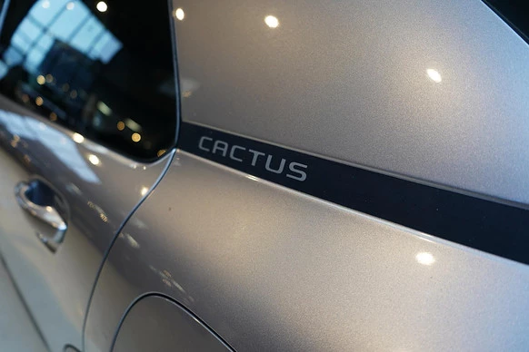 Citroën C4 Cactus - Afbeelding 26 van 30