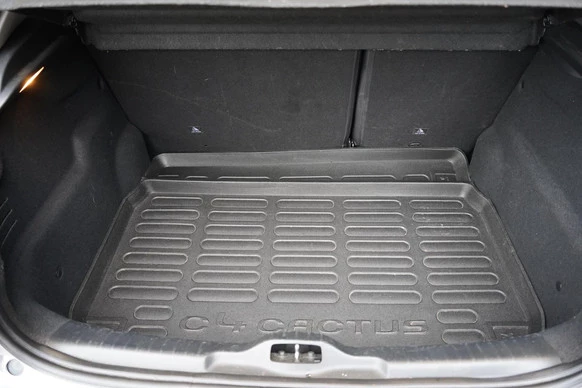 Citroën C4 Cactus - Afbeelding 29 van 30