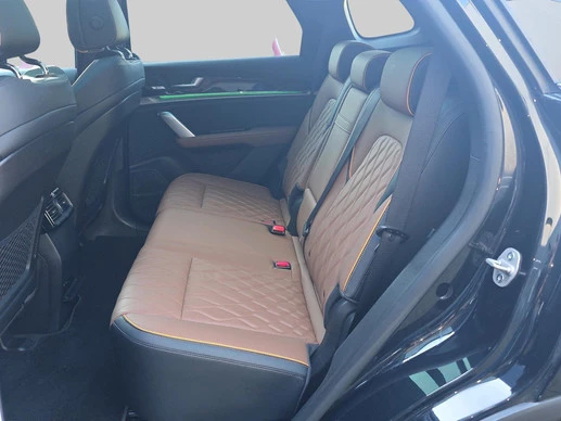 BYD TANG - Afbeelding 6 van 30